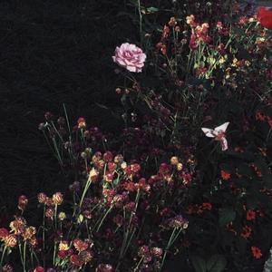 一本大道无码aV日韩精品
